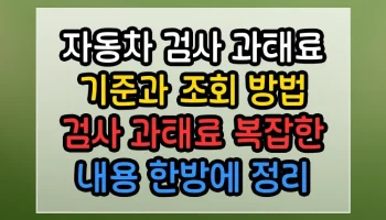 자동차 검사 과태료 기준과 조회 방법 검사 과태료 썸네일