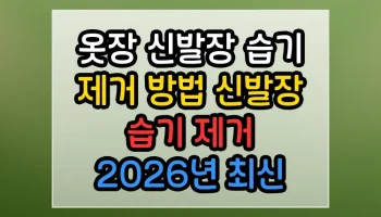 옷장 신발장 습기 제거 방법 신발장 습기 제거 2026년 최신 업데이트 총정리 옷장 신발장 습기 제거 방법 신발장 습기 제거 썸네일