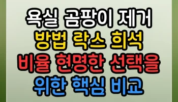 욕실 곰팡이 제거 방법 락스 희석 비율 현명한 선택을 위한 핵심 비교 욕실 곰팡이 제거 방법 락스 희석 비율 썸네일