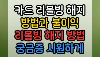 카드 리볼빙 해지 방법과 불이익 리볼빙 해지 방법 궁금증 시원하게 해결 카드 리볼빙 해지 방법과 불이익 리볼빙 해지 방법 썸네일